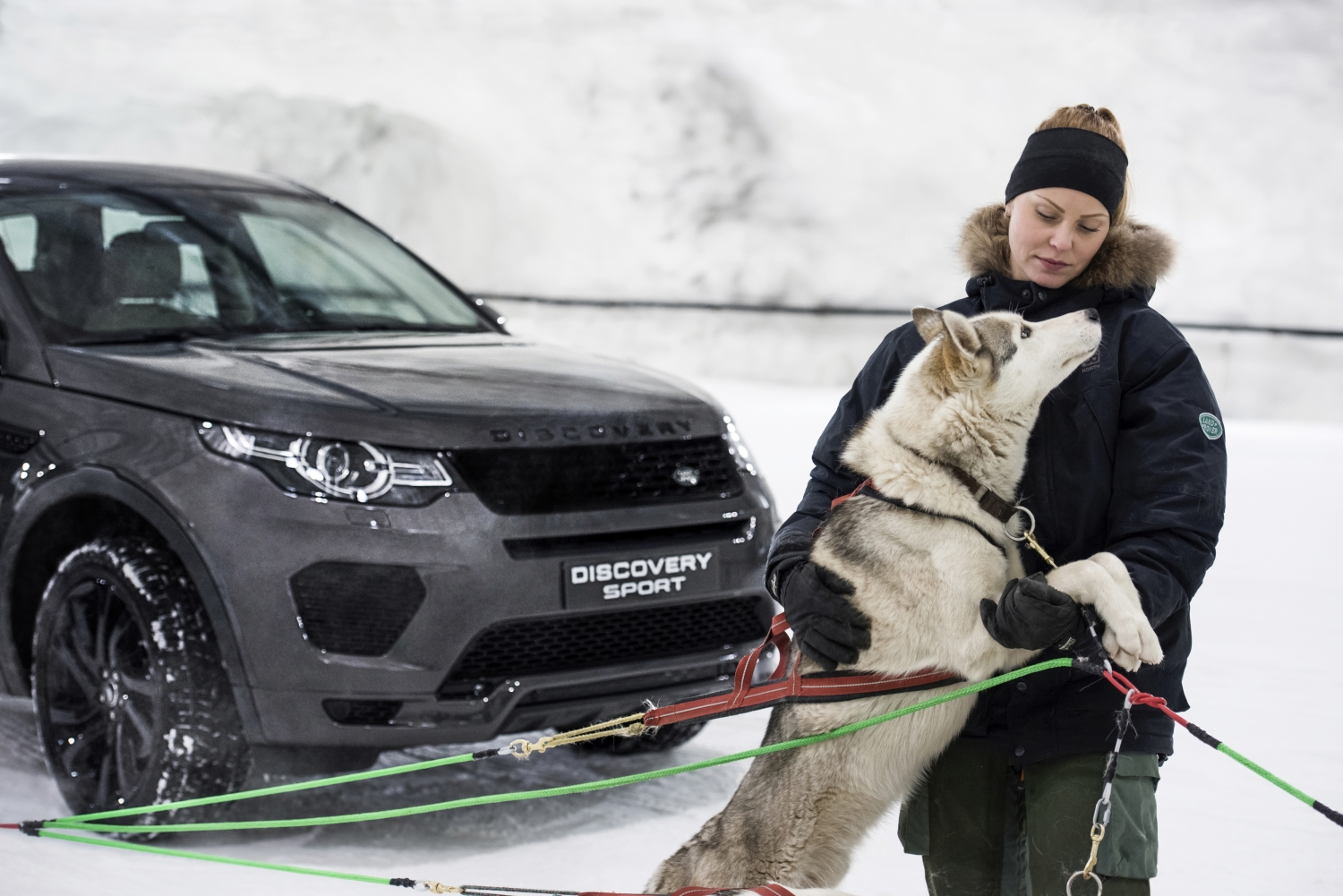 DOG POWER VS HORSEPOWER IN DISCOVERY SPORT SNOW TUNNEL CHALLENGE Land